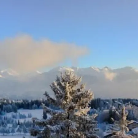 Royal كرانز مونتانا